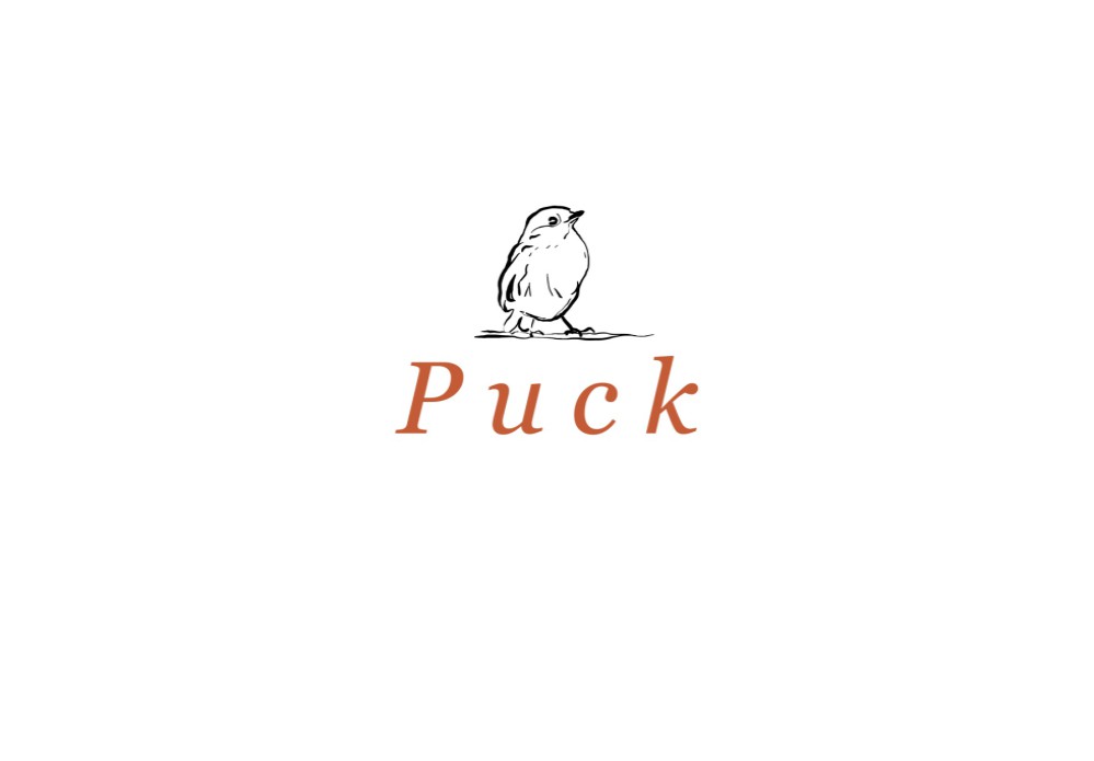 Puck met vogeltje op handgeschept papier