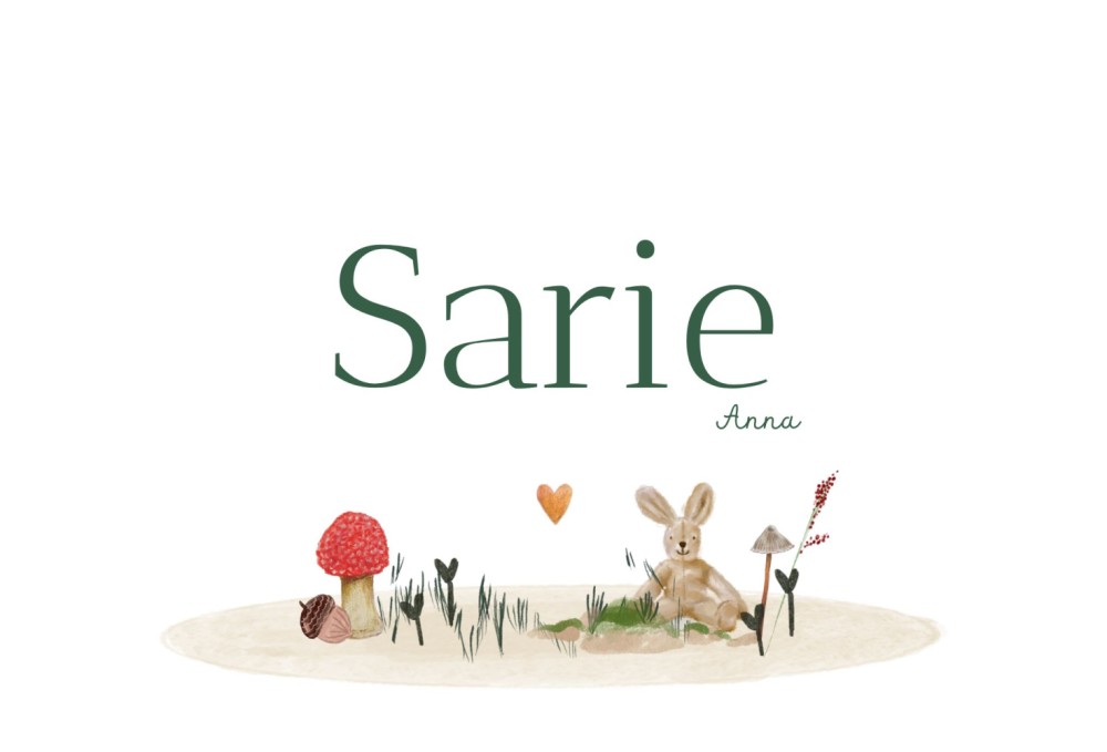 Geboortekaartje meisje illustratief konijn hartje paddestoel vogel Sarie