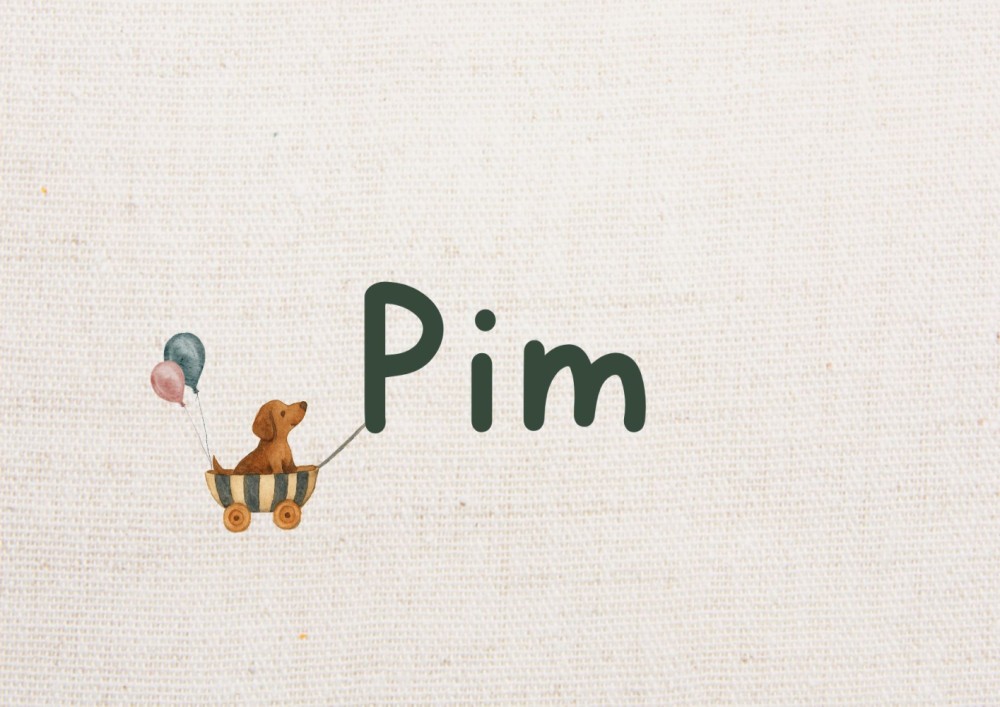 Geboortekaartje Pim minimalistisch en stoer