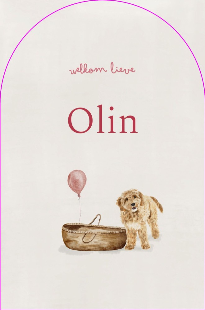 Geboortekaartje vrolijke strepen Olin