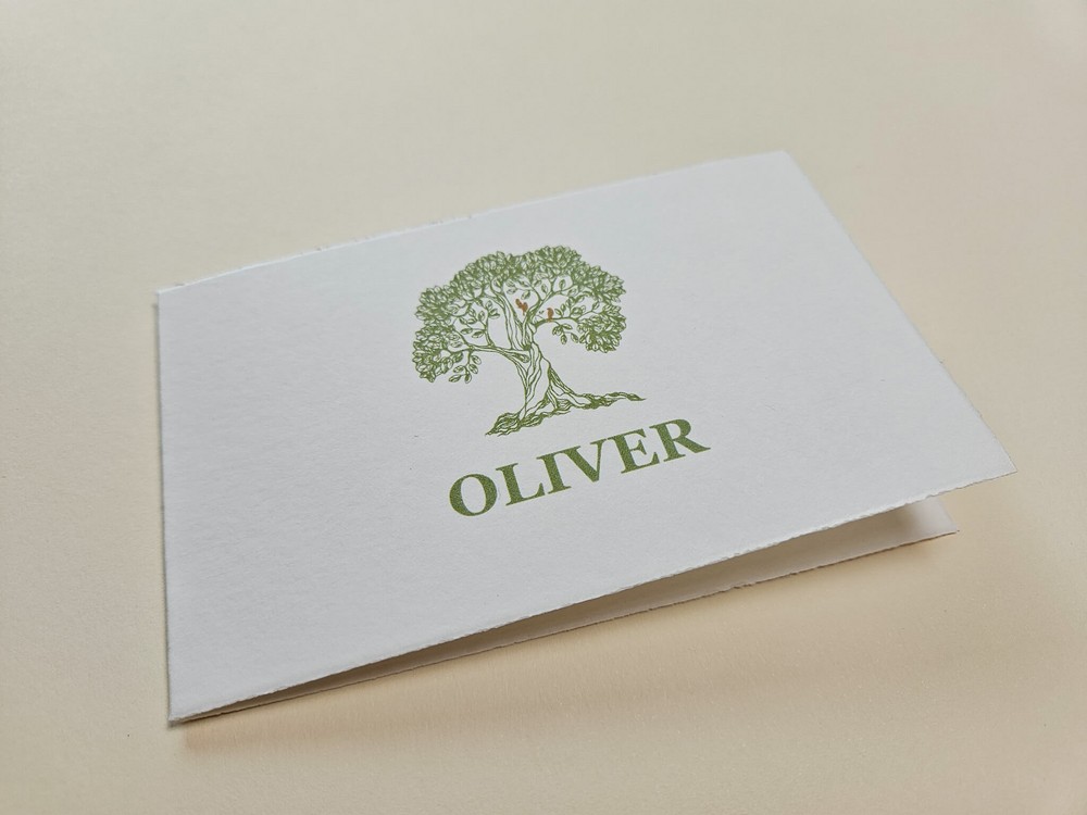 Lief geboortekaartje met olijfboom en vogeltjes Oliver