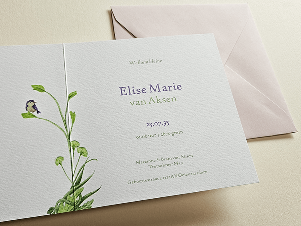Geboortekaartje getekende planten, bloemen en vogels Elise