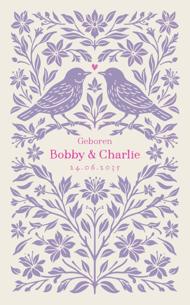 Klassiek geboortekaartje sprookjesstijl tweeling Bobby en Charlie
