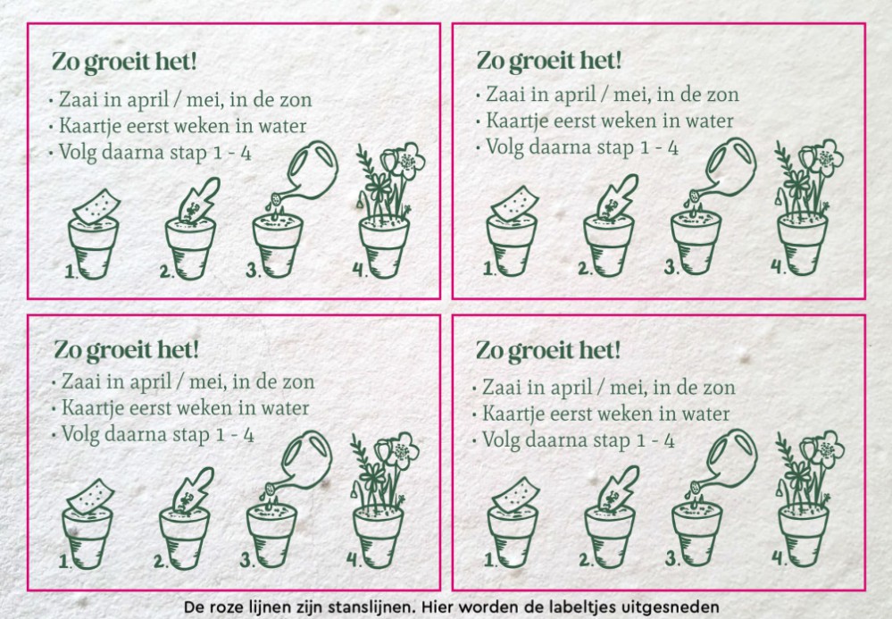 Labeltjes liggend rechthoek 4 stuks - groeipapier