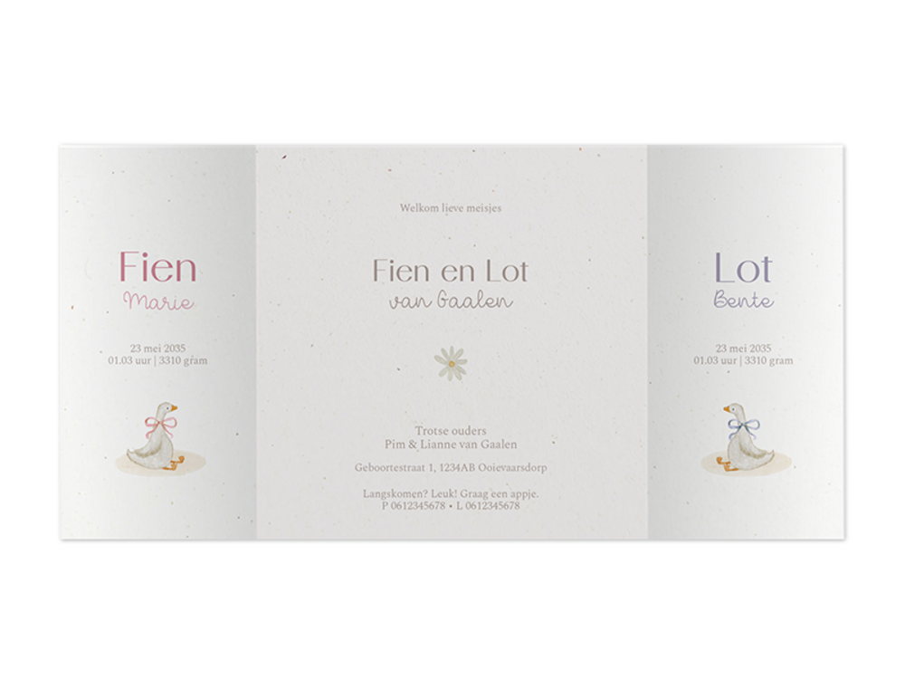 Tweeling geboortekaartje luikvouw met gansjes binnenzijde