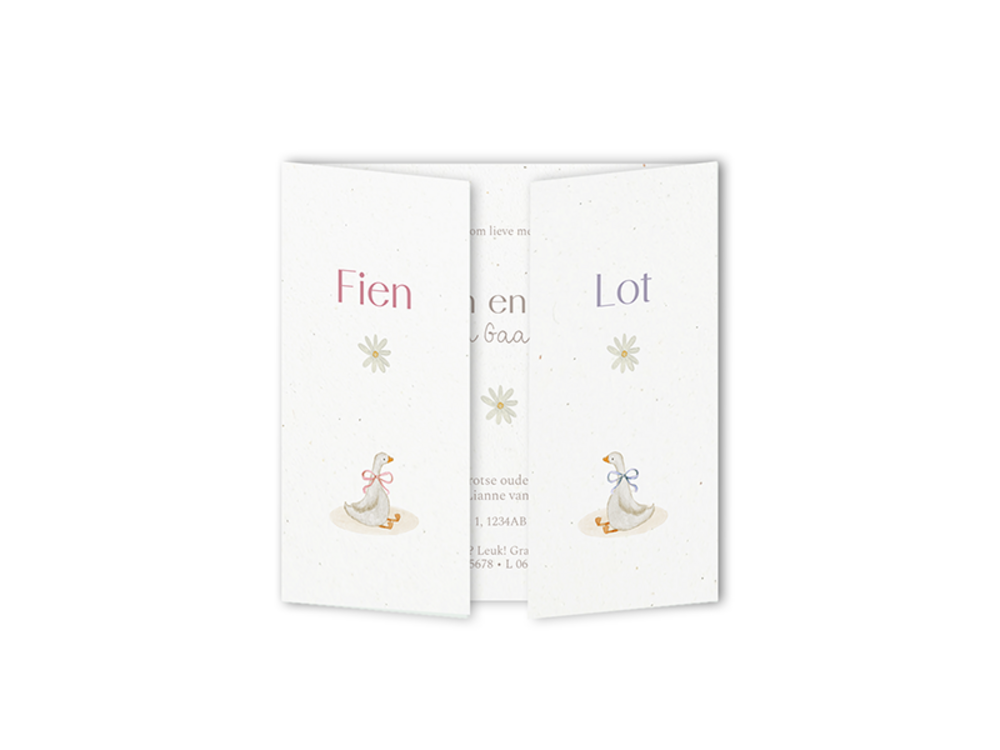 Tweeling geboortekaartje luikvouw met lieve vrolijke gansjes