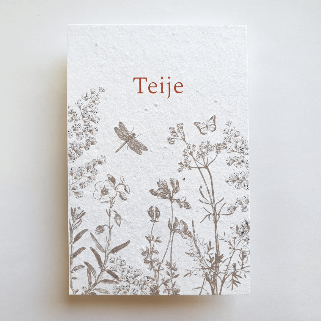 de-kaartjeswinkel-ontwerp-letterpress-drukkerij
