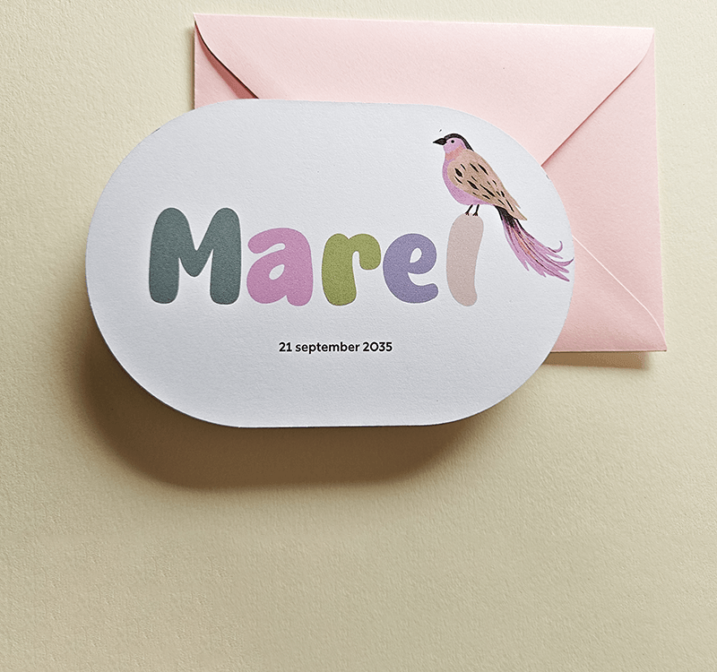 Meisjes geboortekaartjes